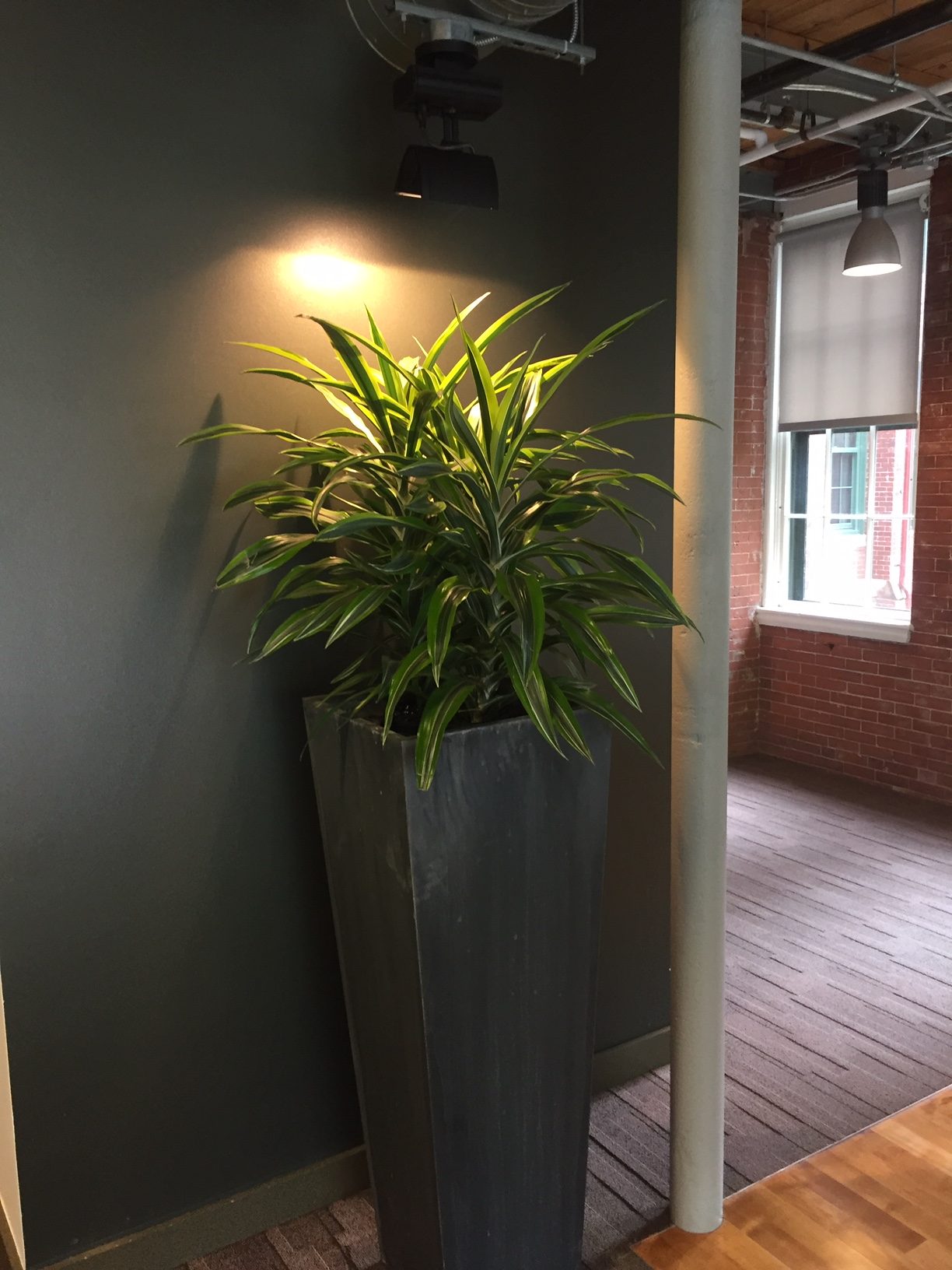PDI Unlimited Plant Care, Waltham , MA Plantscape Designs, Inc.