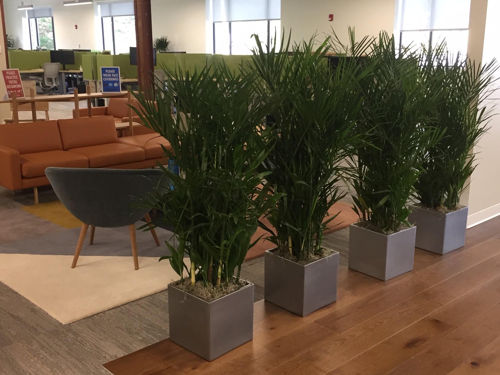 Watertown, MA &quot; &quot;Firefly Partners with Plantscape Designs