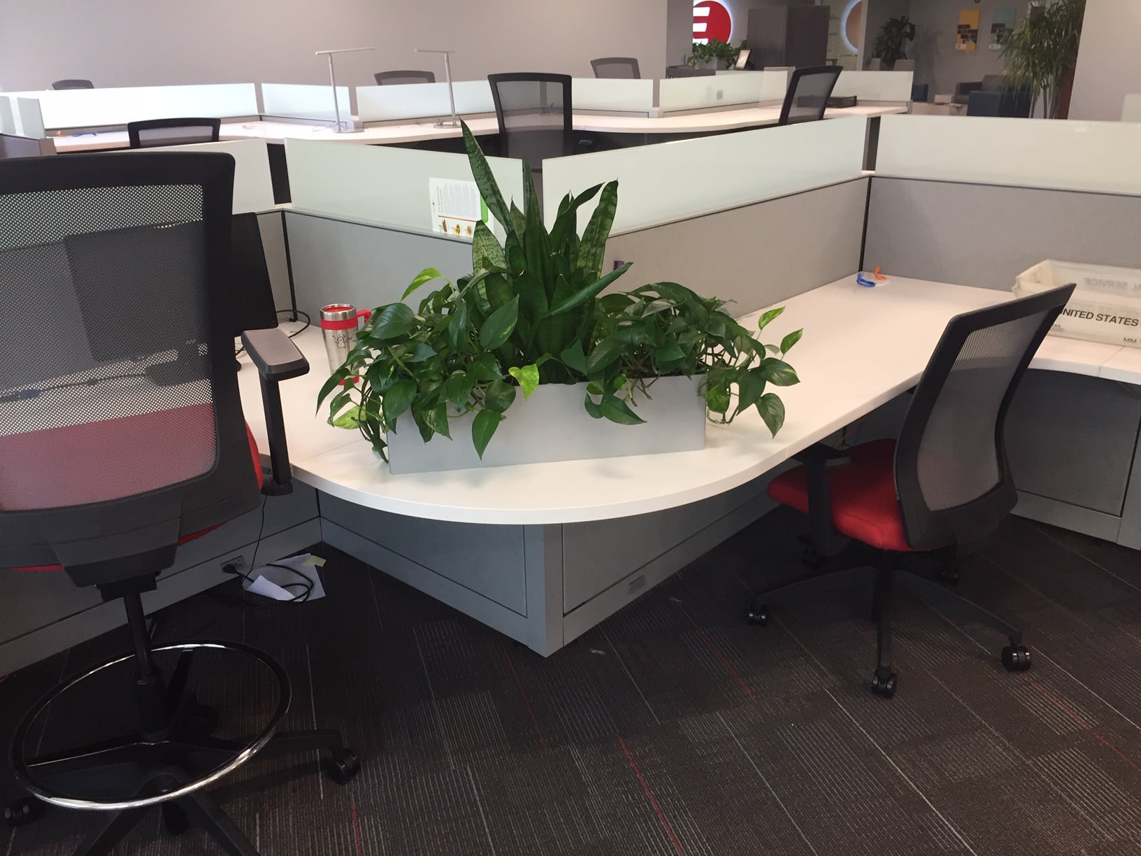 Social Distancing Barriers using Interior office Plants & Planters